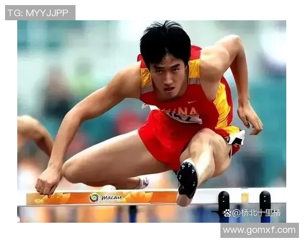 体育明星在奥运会上的表现与排名解析及影响力探讨 体育明星在奥运会上的表现与排名解析及影响力探讨