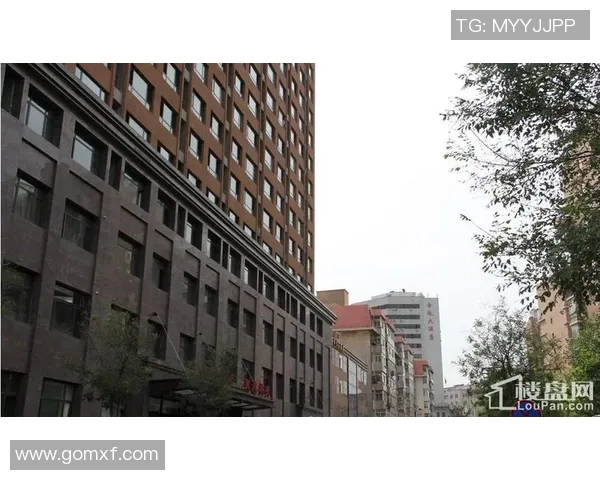 图腾之星足球场上的传奇人物与他们的辉煌故事