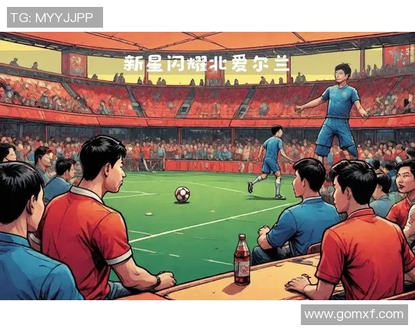 瑞士与北爱尔兰激战正酣赛果揭晓精彩瞬间回顾