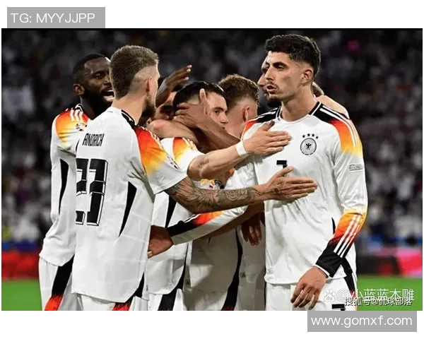 全面解析欧洲杯预选赛的历史进程球队表现及未来展望