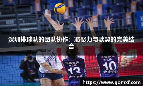 深圳排球队的团队协作：凝聚力与默契的完美结合
